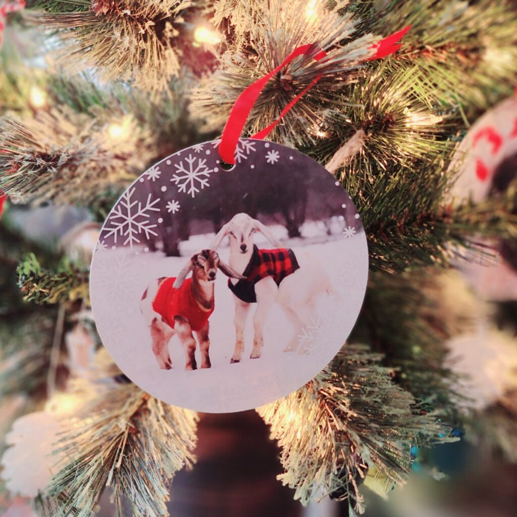An ornament on a tree features photography by L Hampton Photography